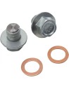 O2-Sensor-Anschluss-Stopfen Kit