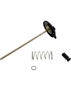 Ersatz-Vergaser-Beschleunigerpumpen-Kit
