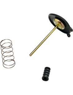 Ersatz-Vergaser-Beschleunigerpumpen-Kit