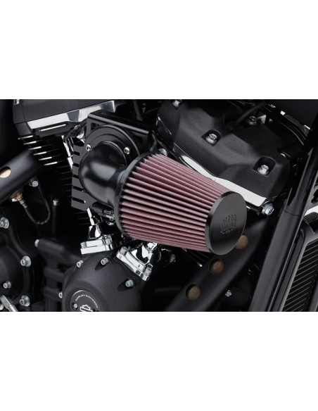 COBRA Luftfilter & Reiniger für Harley Davidson XL 1200 C 2004-2020