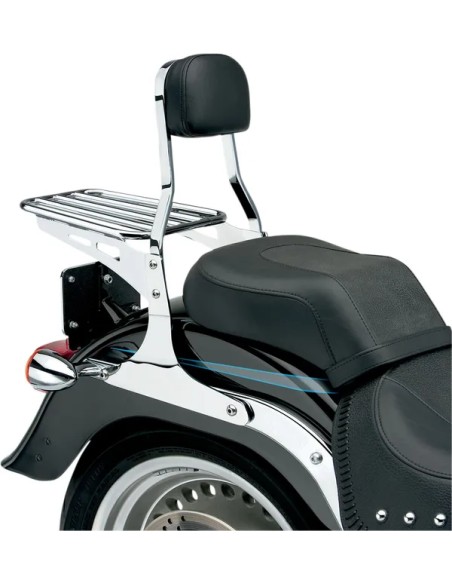 COBRA Sissybars Bild 4