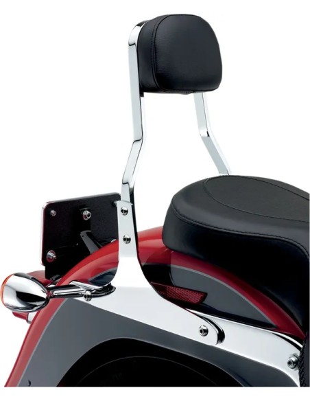 COBRA Sissybars Bild 5