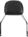 Quadratische Sissy Bar