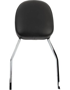 Quadratische Sissy Bar
