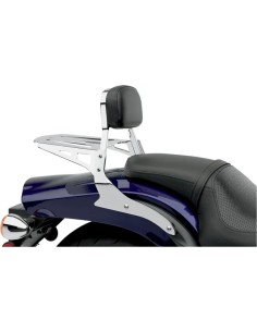 Quadratische Sissy Bar