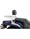 Quadratische Sissy Bar