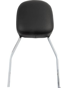 Quadratische Sissy Bar