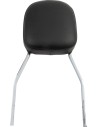Quadratische Sissy Bar