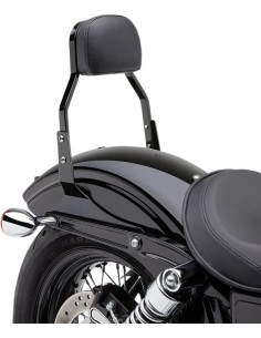 Quadratische Sissy Bar