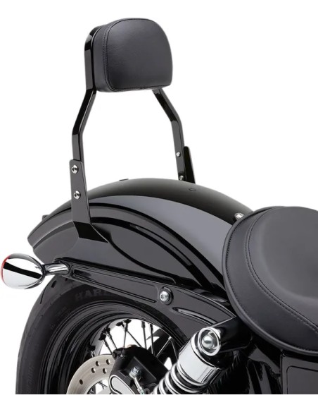 COBRA Sissybars für Harley Davidson XL 1200 C 2004-2020