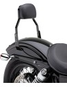 Quadratische Sissy Bar