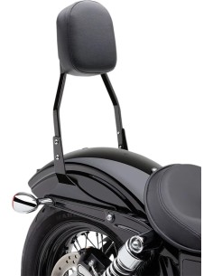 Quadratische Sissy Bar