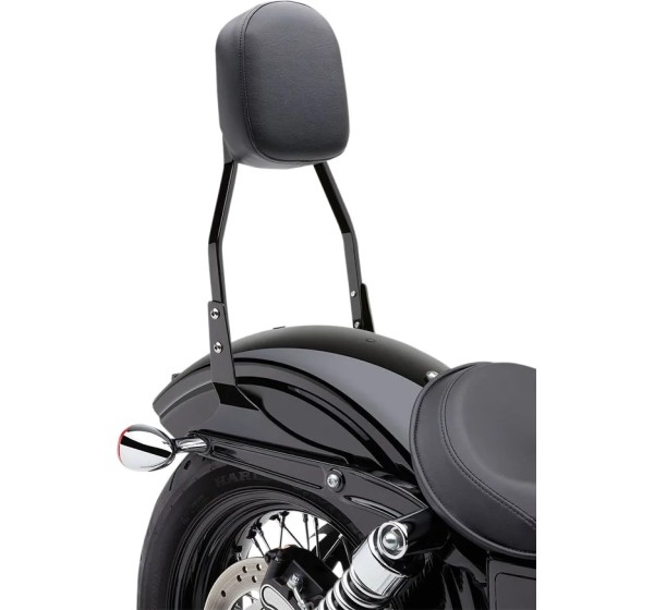 COBRA Sissybars für Harley Davidson FLSTFB 1690 ABS 2012-2017