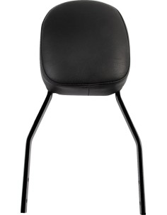 Quadratische Sissy Bar