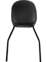 Quadratische Sissy Bar