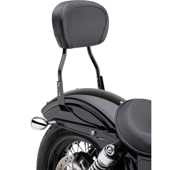 COBRA Sissybars Bild 5