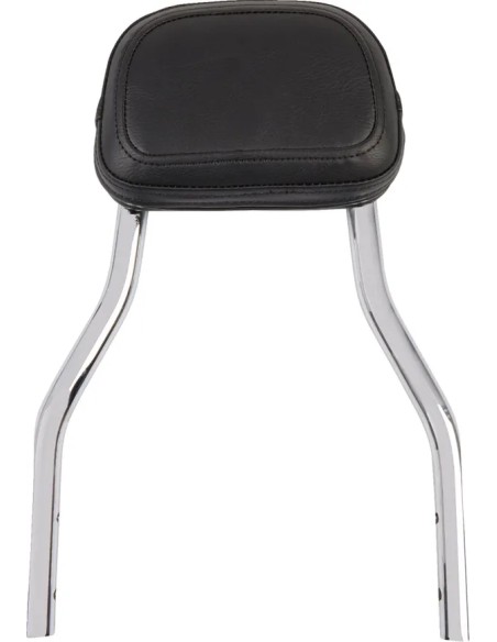 COBRA Sissybars für Harley Davidson XL 1200 C 2004-2020