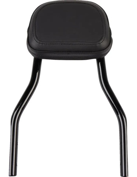 COBRA Sissybars für Harley Davidson XL 1200 C 2004-2020