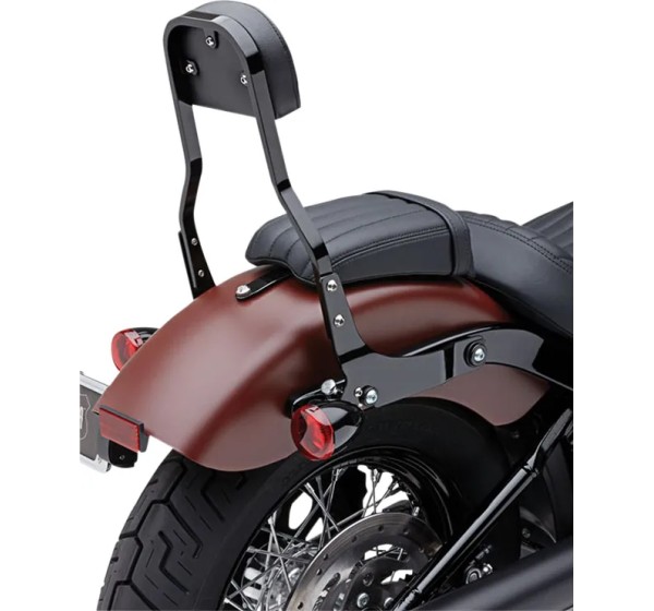 COBRA Sissybars für Harley Davidson XL 1200 C 2004-2020