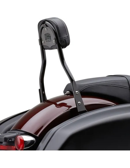 COBRA Sissybars für Harley Davidson FLSB 1750 ABS 2018-2024