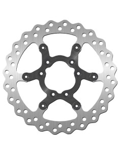 Bremsscheibe aus Edelstahl