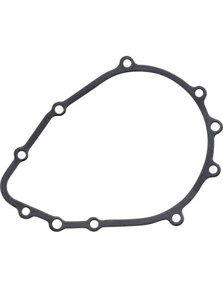 RICK'S MOTORSPORT ELECTRIC Dichtungen & Öldichtungen für KAWASAKI ZX-6 R 600 2000-2002