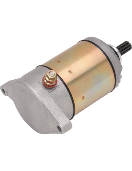 RICK'S MOTORSPORT ELECTRIC Anlasser & Zündung für SUZUKI LT-F 250 2X4 1988-1999