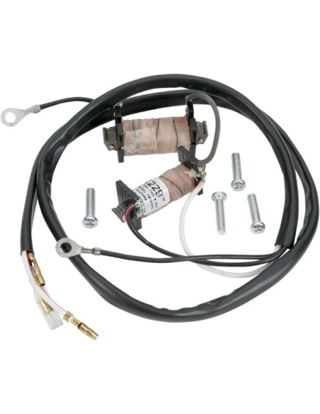 RICK'S MOTORSPORT ELECTRIC Anlasser & Zündung für SUZUKI RM 80 1980-2001