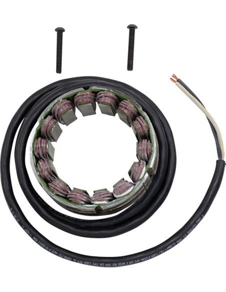 RICK'S MOTORSPORT ELECTRIC Anlasser & Zündung für DUCATI SS 600 1994-1997