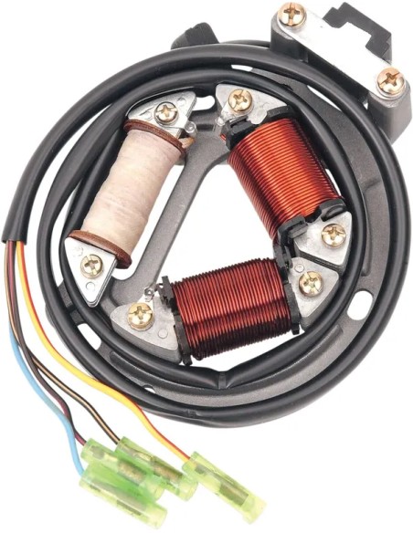 RICK'S MOTORSPORT ELECTRIC Anlasser & Zündung für SUZUKI LT 250 R 2x4 1985-1992