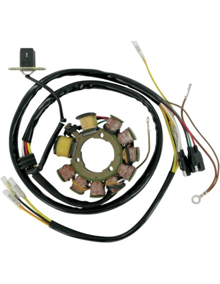 RICK'S MOTORSPORT ELECTRIC Anlasser & Zündung für POLARIS XPEDITION 425 2000-2002