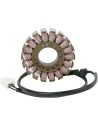 Stator für Triumph