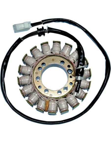 RICK'S MOTORSPORT ELECTRIC Anlasser & Zündung für TRIUMPH TIGER 1050 ABS 2007-2019