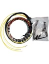 Stator