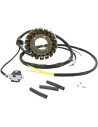 Stator