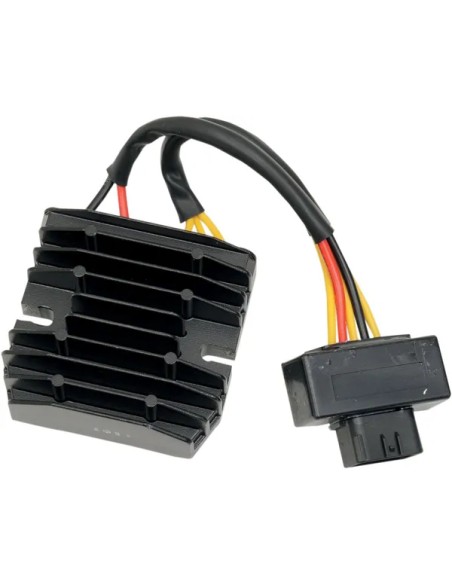 RICK'S MOTORSPORT ELECTRIC Anlasser & Zündung für CAN AM (BRP) RENEGADE 1000 EFI 4X4 2012-2015