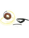 Stator
