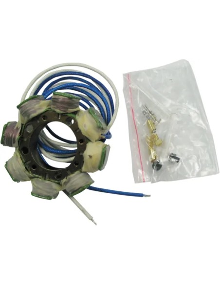 RICK'S MOTORSPORT ELECTRIC Anlasser & Zündung für HONDA CRF 250 R 2004-2009