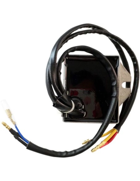 RICK'S MOTORSPORT ELECTRIC Anlasser & Zündung für DUCATI SS 900 1992-1997