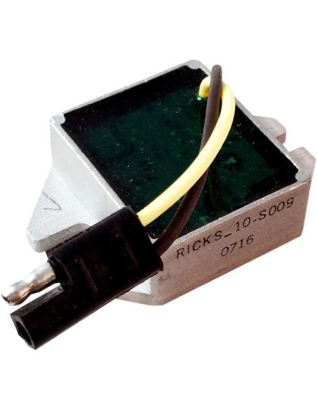 RICK'S MOTORSPORT ELECTRIC Anlasser & Zündung für POLARIS TRAIL RMK 550 2004-2010
