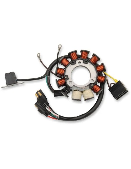 RICK'S MOTORSPORT ELECTRIC Anlasser & Zündung für POLARIS RMK 700 2001-2005