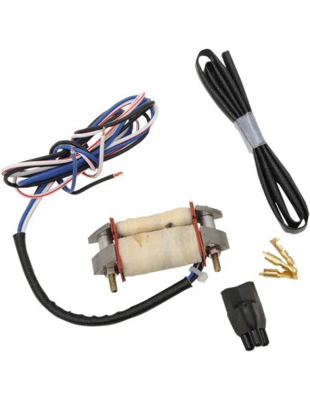 RICK'S MOTORSPORT ELECTRIC Anlasser & Zündung für KAWASAKI KX 80 17/14 1979-1980