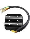 Hot Shot Lithium-Ion kompatibler Gleichrichter-Regler