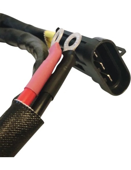 RICK'S MOTORSPORT ELECTRIC Anlasser & Zündung - Detailansicht