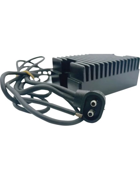 RICK'S MOTORSPORT ELECTRIC Anlasser & Zündung - Detailansicht
