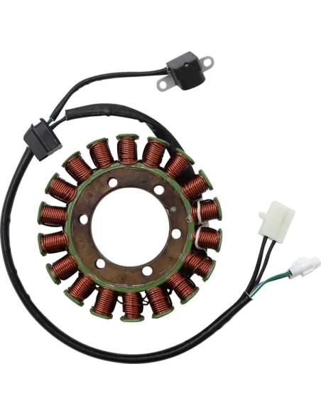 RICK'S MOTORSPORT ELECTRIC Anlasser & Zündung - Detailansicht