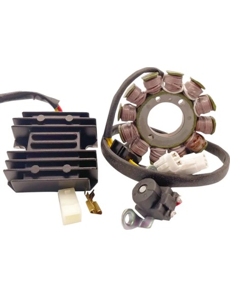 RICK'S MOTORSPORT ELECTRIC Montagematerial & Zubehör - Detailansicht