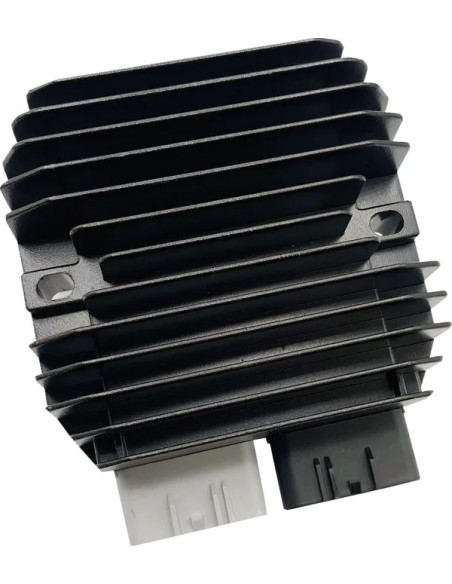 RICK'S MOTORSPORT ELECTRIC Anlasser & Zündung für CF MOTO CFORCE 1000 V2 EFI 4X4 2021