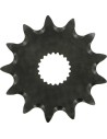 Vorderes Ritzel