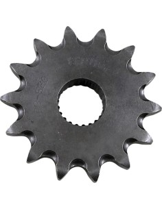 Vorderes Ritzel